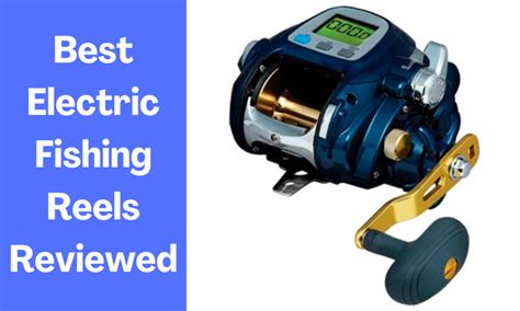 10 Best Electric Fishing Reels (How To Choose The Best One).